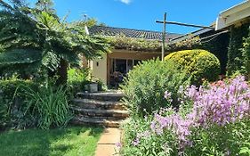 Yellowwood Cottage