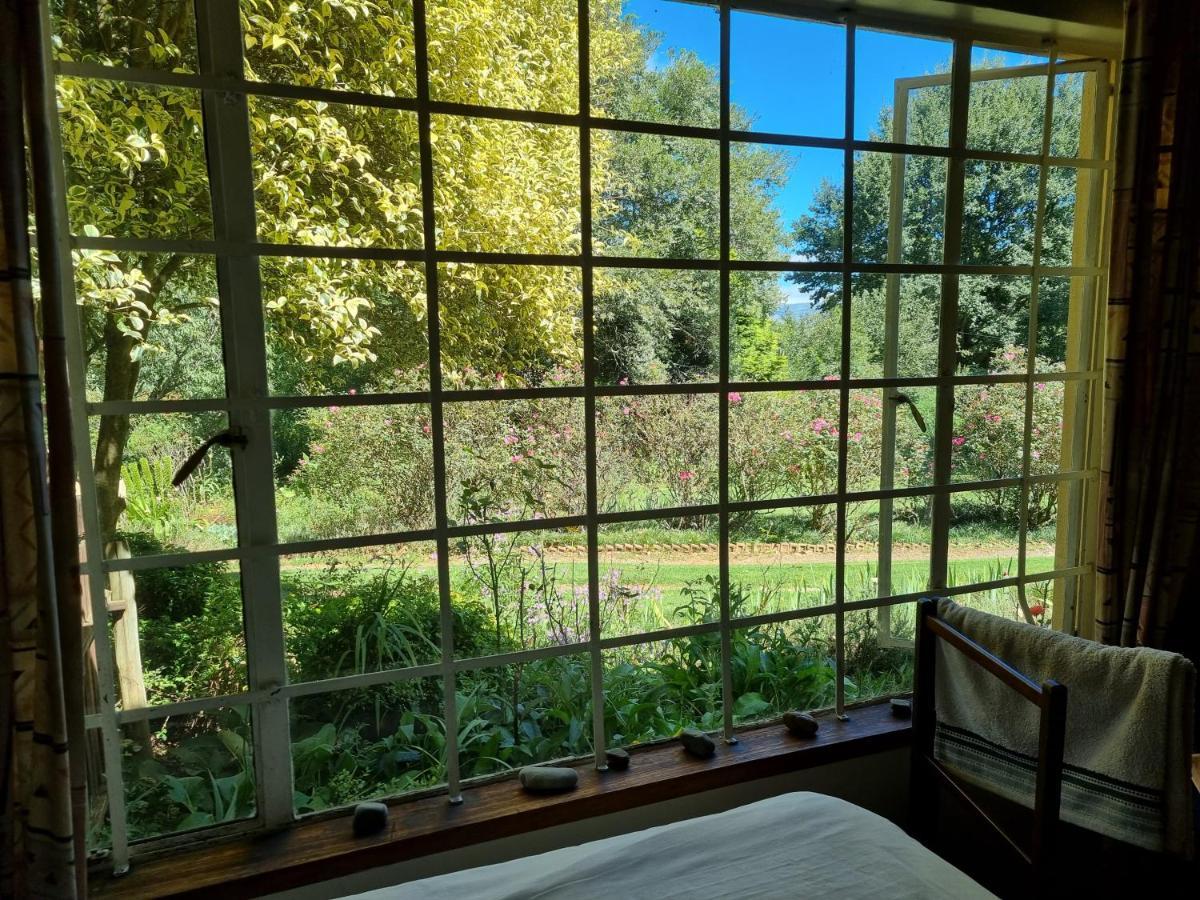 Yellowwood Cottage Himeville Buitenkant foto