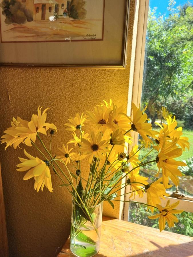 Yellowwood Cottage Himeville Buitenkant foto