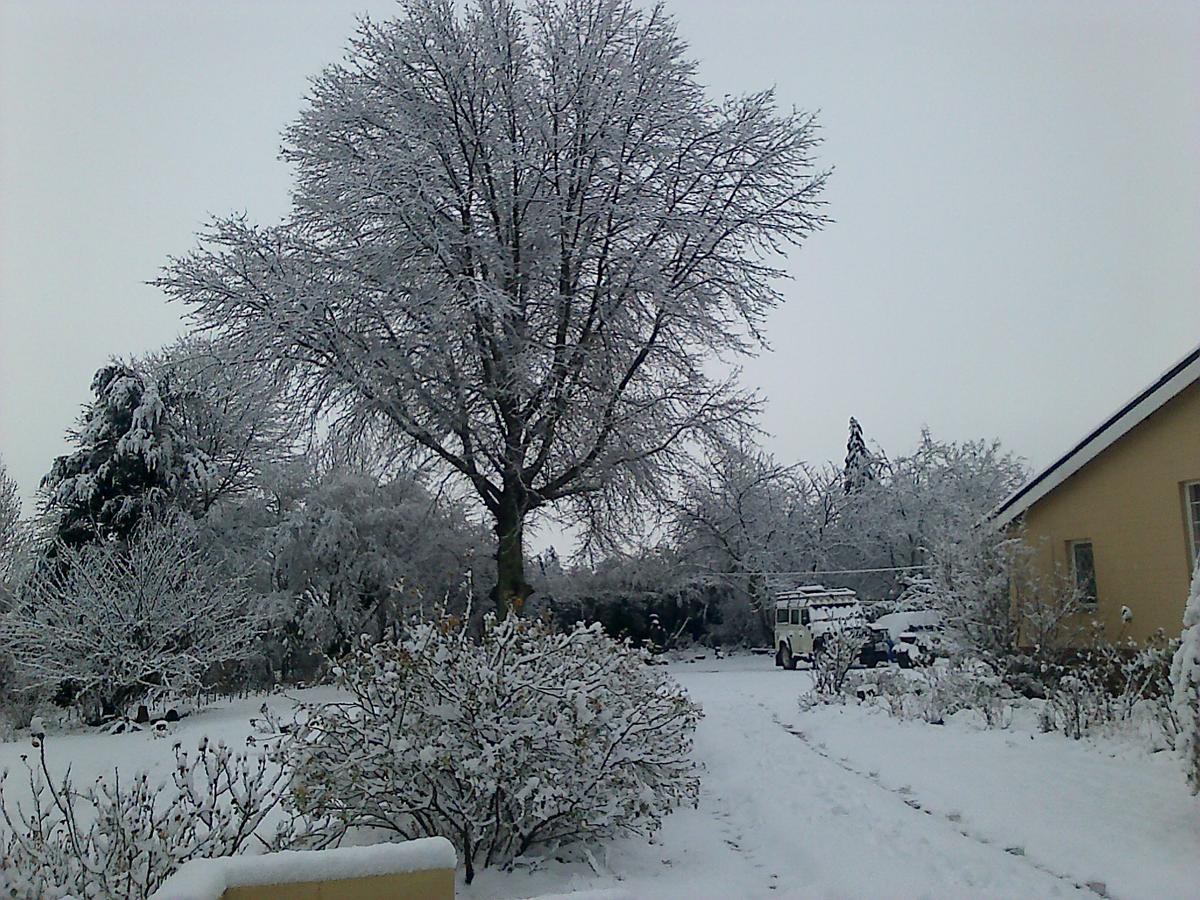 Yellowwood Cottage Himeville Buitenkant foto